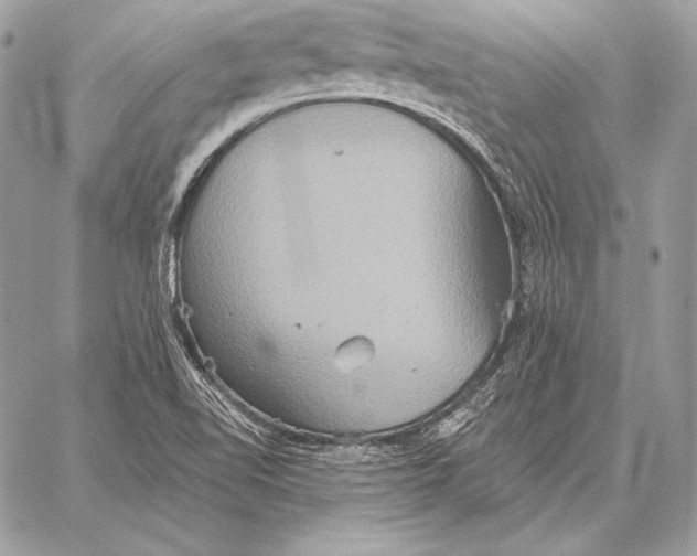 X0000059841510200511111731