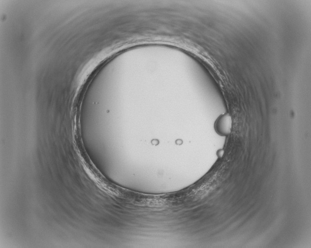 X0000059841511200511111731