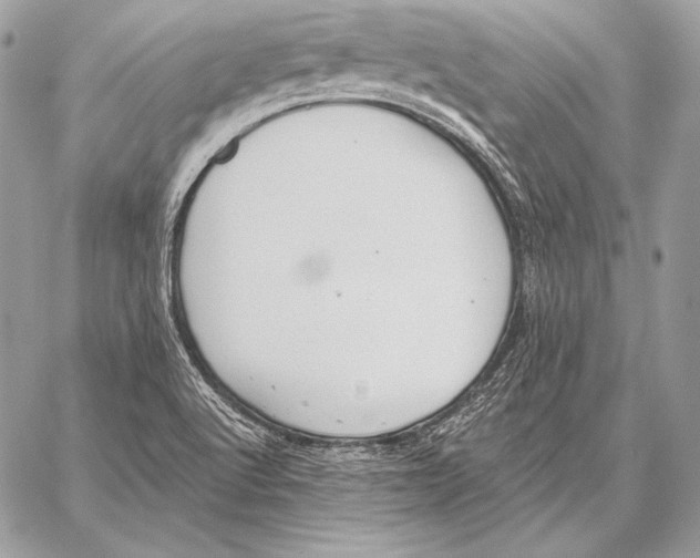 X0000059841512200511111731