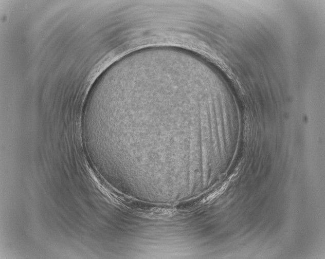 X0000059841513200511111731