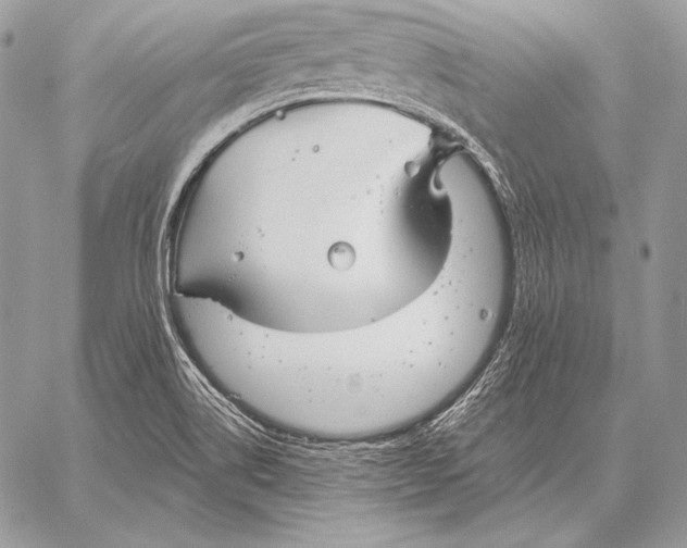 X0000059841514200511111731