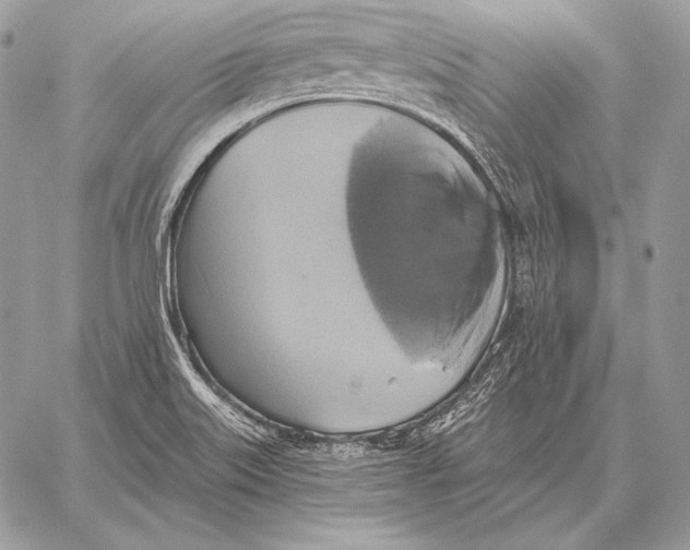 X0000059841515200511111731