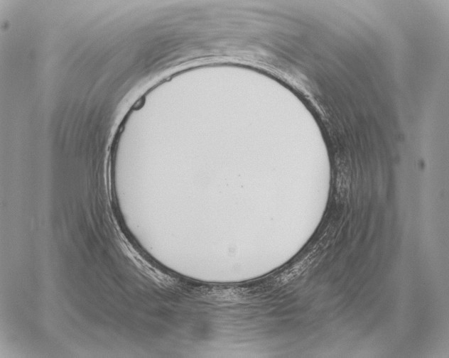 X0000059841516200511111731