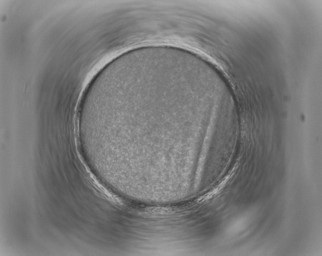 X0000059841517200511111731