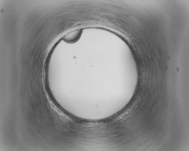 X0000059841518200511111731