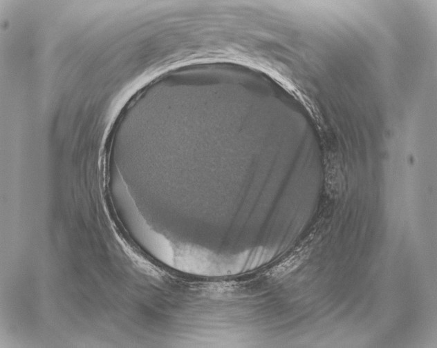 X0000059841519200511111731