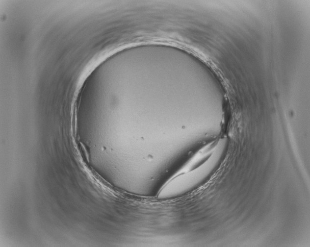 X0000059841520200511111731