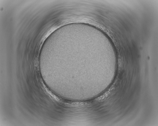 X0000059841521200511111731