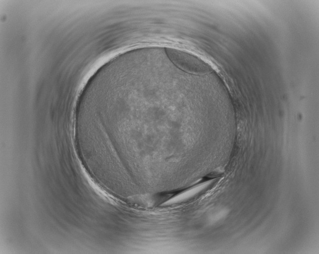 X0000059841523200511111731