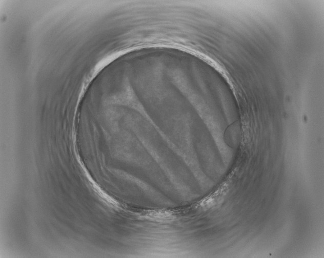 X0000059841525200511111731