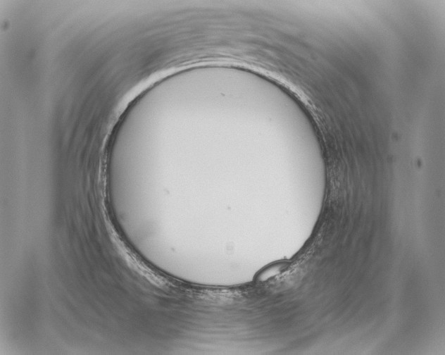 X0000059841526200511111731