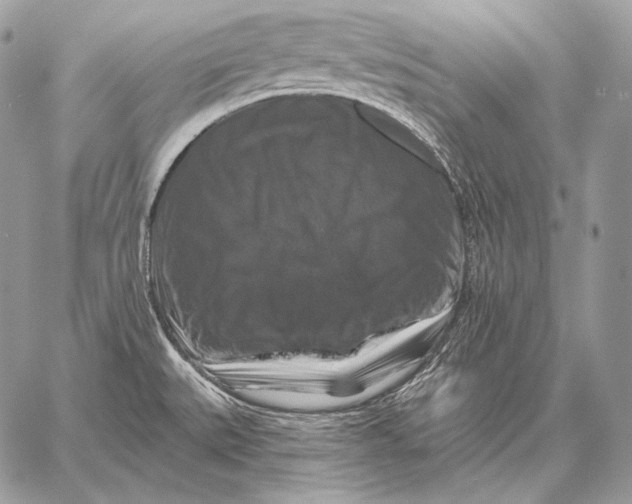 X0000059841527200511111731