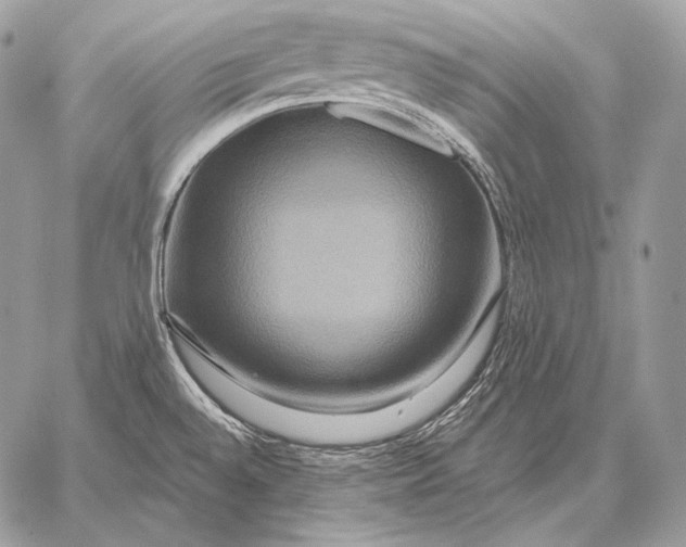 X0000059841528200511111731