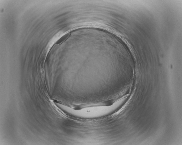 X0000059841529200511111731