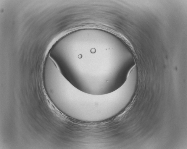 X0000059841530200511111731