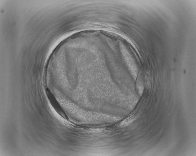 X0000059841531200511111732