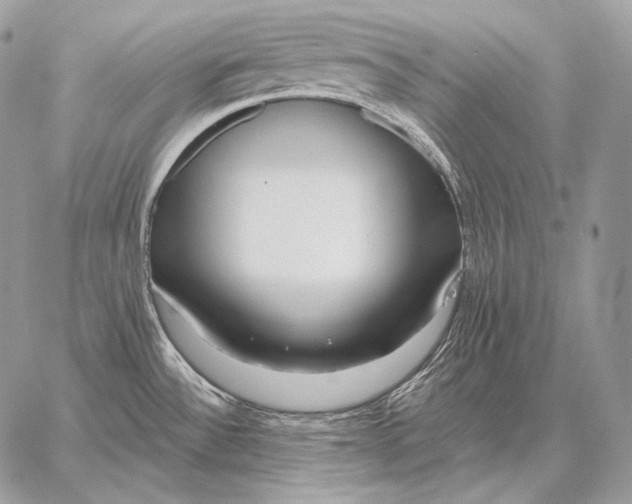 X0000059841532200511111732