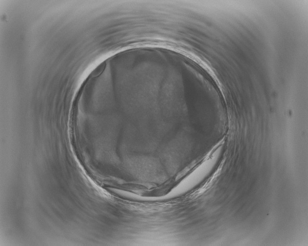 X0000059841533200511111732