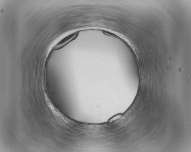 X0000059841534200511111732