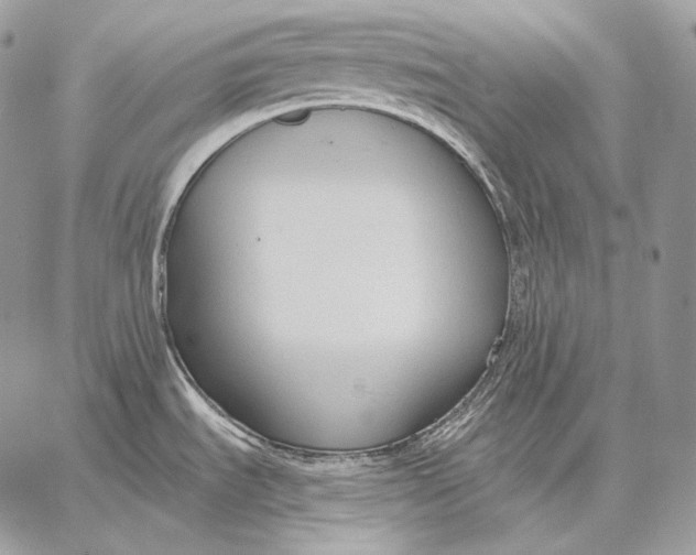 X0000059841535200511111732