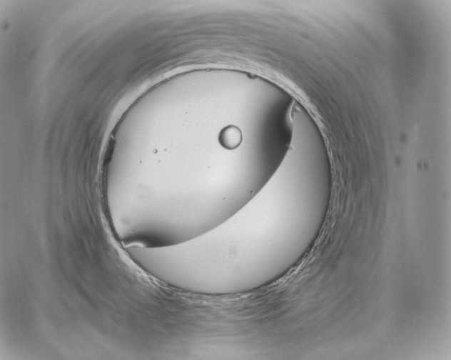 X0000059841536200511111732