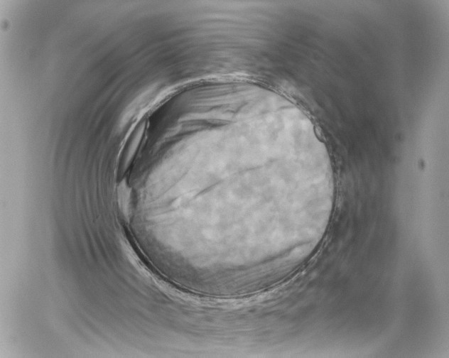 X0000059840002200511181525