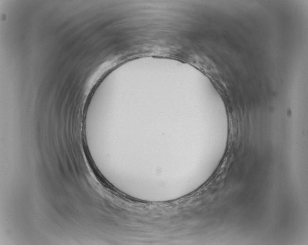 X0000059840003200511181525