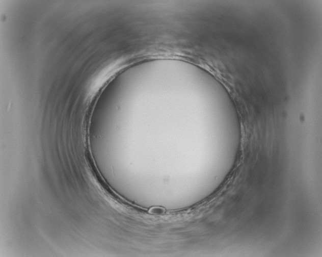 X0000059840005200511181525