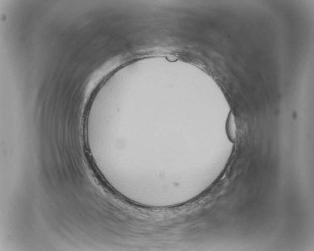 X0000059840006200511181525