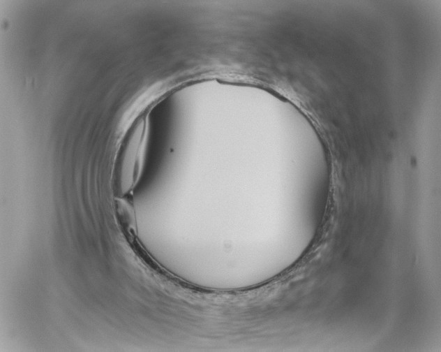 X0000059840007200511181525