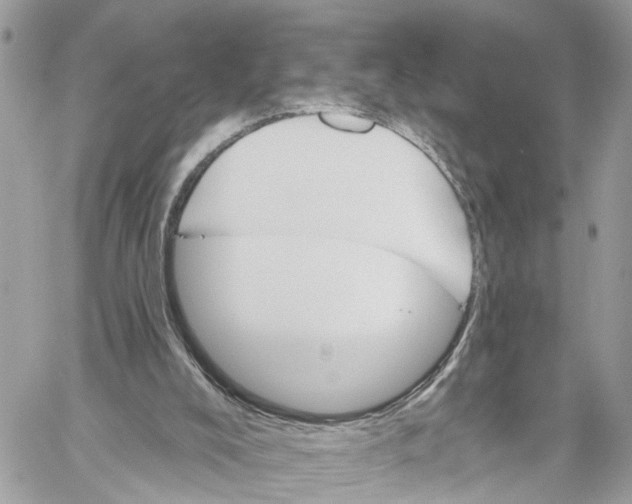 X0000059840008200511181525