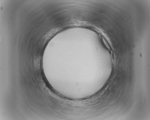 X0000059840010200511181525