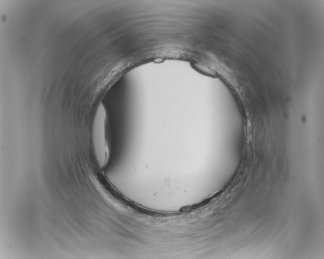 X0000059840013200511181525