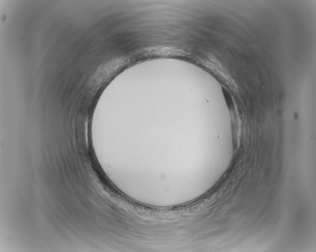 X0000059840014200511181525