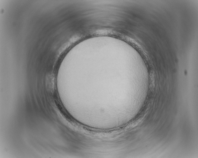 X0000059840016200511181524