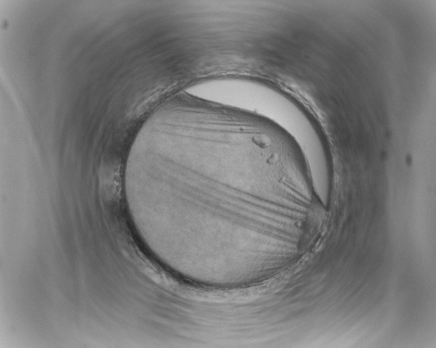 X0000059840017200511181524