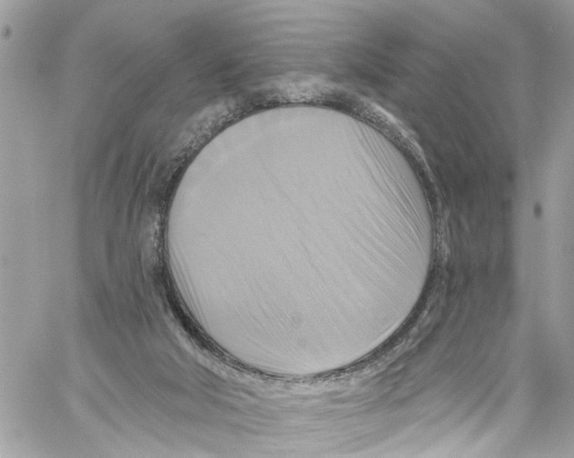 X0000059840018200511181524