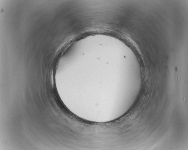 X0000059840020200511181524