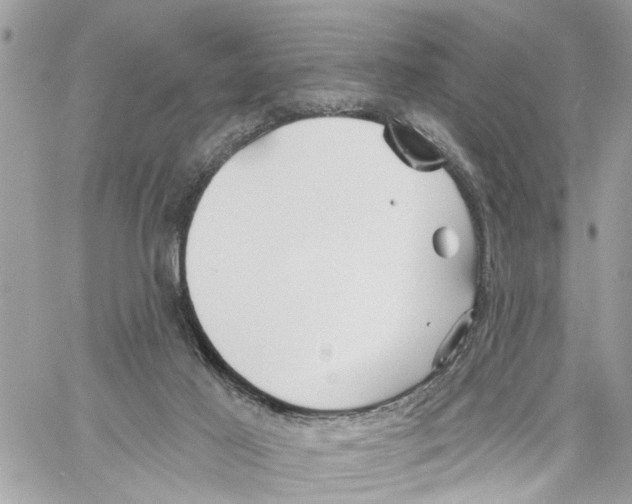 X0000059840021200511181524