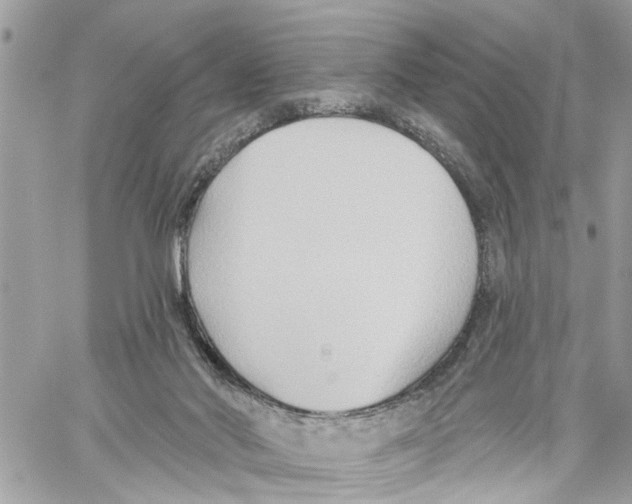 X0000059840022200511181524