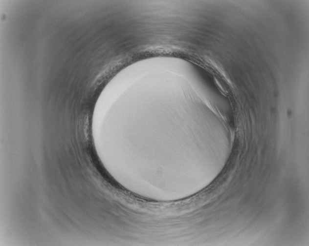 X0000059840023200511181524