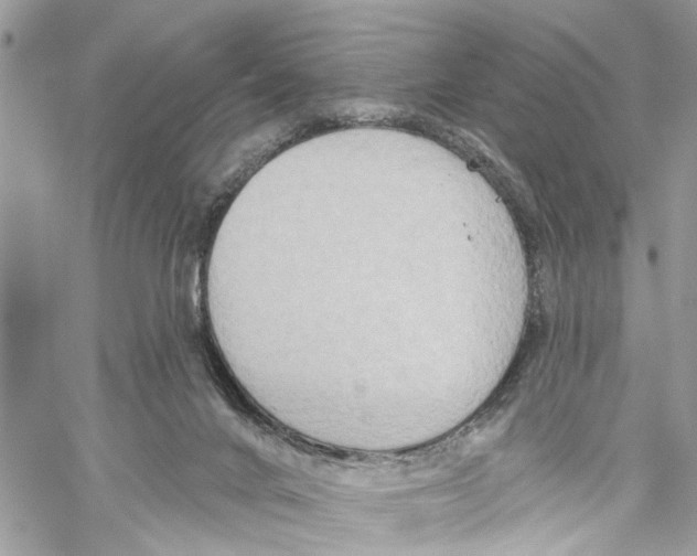 X0000059840024200511181524