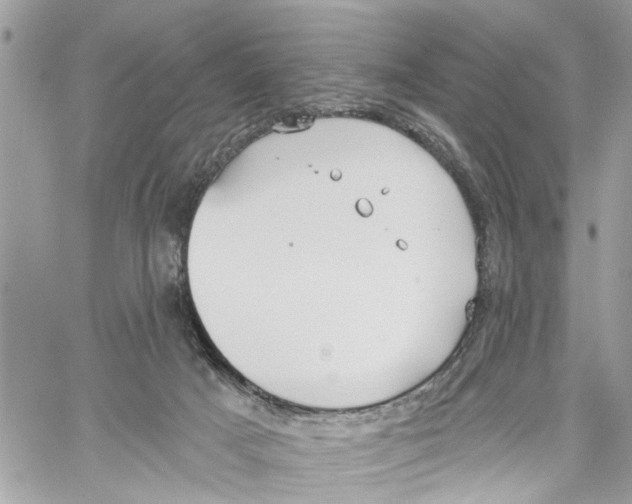 X0000059840025200511181524