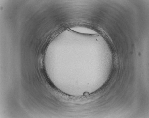 X0000059840026200511181524