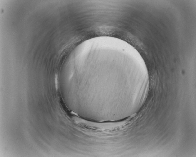 X0000059840027200511181524