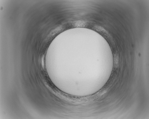 X0000059840028200511181524