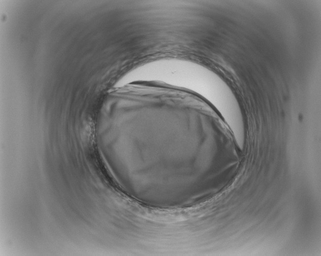 X0000059840029200511181524