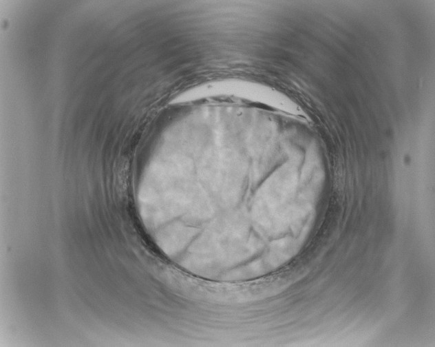 X0000059840030200511181524