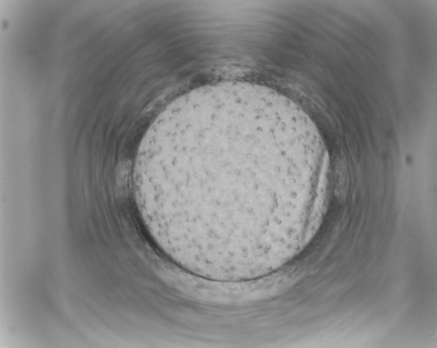 X0000059840034200511181524