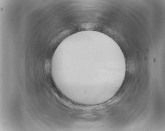 X0000059840036200511181524